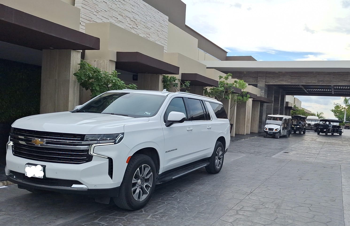 Professional driver service